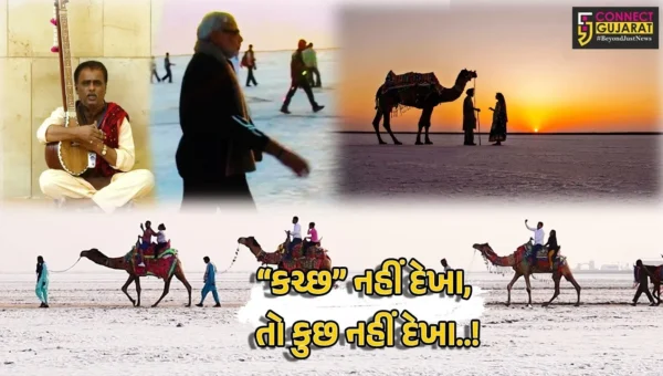 કચ્છ ઉત્સવ 2025-26’ : કચ્છનું સફેદ રણ ફરી એકવાર પ્રવાસીઓને આવકારવા તૈયાર, જાદુઈ રણનો અનુભવ કરવા સહેલાણીઓમાં આતુરતા…