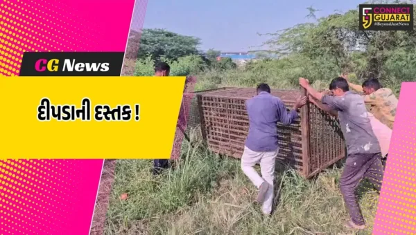 અંકલેશ્વર: ભડકોદ્રા ગામની સીમમમાં દીપડો નજરે પડતા ફફડાટ, જંગલના સીમાડા વટાવી વન્યજીવોનું શહેર તરફ પ્રયાણ