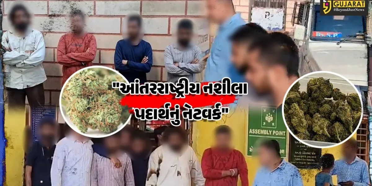 જૂનાગઢ : હાઈબ્રીડ ગાંજાના રેકેટનો પર્દાફાશ,નશીલા પદાર્થના આંતરરાષ્ટ્રીય નેટવર્કમાં ચાર આરોપીની રૂ.1.16 કરોડના મુદ્દામાલ સાથે ધરપકડ
