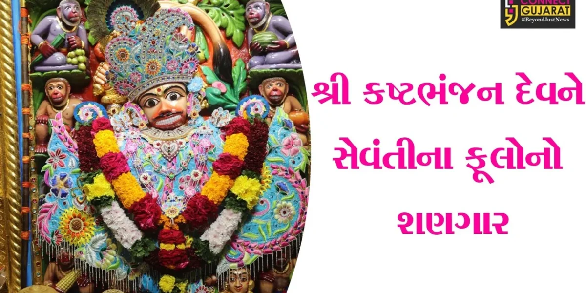 બોટાદ : સાળંગપુરના શ્રી કષ્ટભંજન દેવને રંગેબેરંગી સેવંતીના ફૂલોનો દિવ્ય શણગાર કરાયો,ભક્તોએ લીધો દર્શનનો લ્હાવો