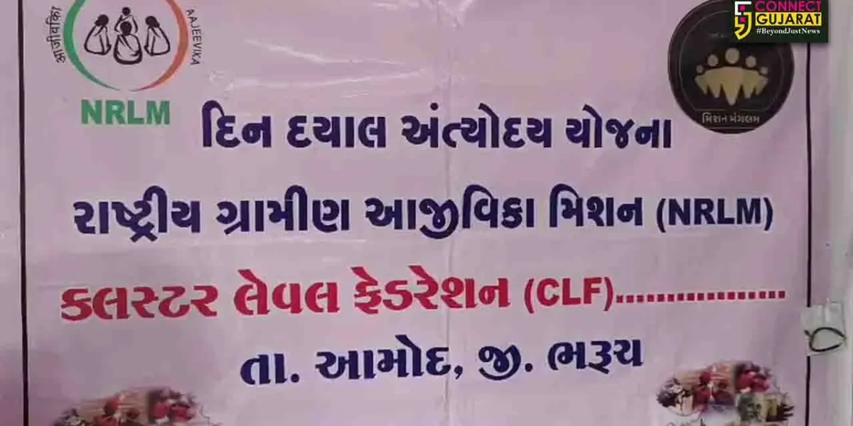 ભરૂચ: આમોદના સરભાણ ગામે બહેનોને આર્થિક રીતે પગભર બનાવવાના હેતુસર વર્કશોપ યોજાયો