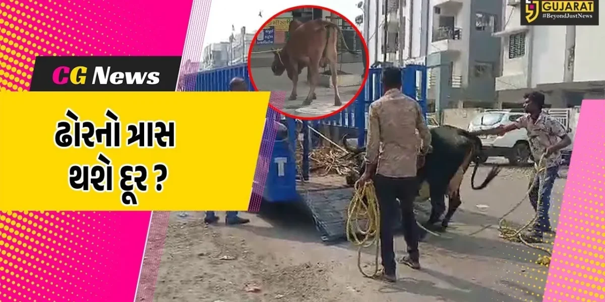 અંકલેશ્વર: GIDCમાં પોલીસ બંદોબસ્ત સાથે રસ્તે રખડતા ઢોર પકડવાની ઝુંબેશ શરૂ કરાય