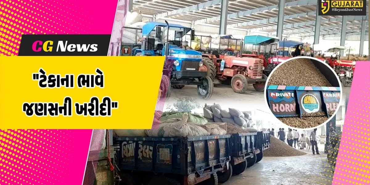 મહુવામાં ટેકાના ભાવ પર જણસી ખરીદીનો પ્રારંભ,ખેડૂતો પાસેથી મગફળી સહિતના અનાજની ખરીદી શરૂ થતાં રાહત