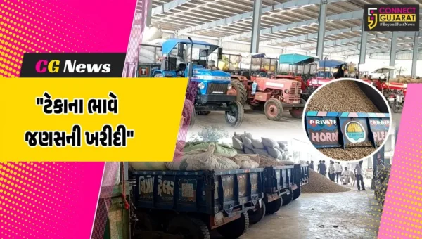 મહુવામાં ટેકાના ભાવ પર જણસી ખરીદીનો પ્રારંભ,ખેડૂતો પાસેથી મગફળી સહિતના અનાજની ખરીદી શરૂ થતાં રાહત