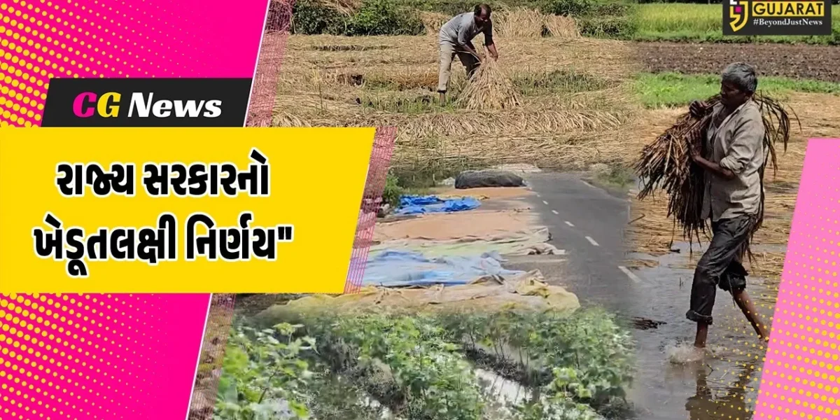 ગુજરાત: રાજ્ય સરકારનો ખેડૂતો માટે મહત્વપૂર્ણ નિર્ણય,ટેકાના ભાવે મગફળી સહિતના પાકો ખરીદવાની સરકારની જાહેરાત