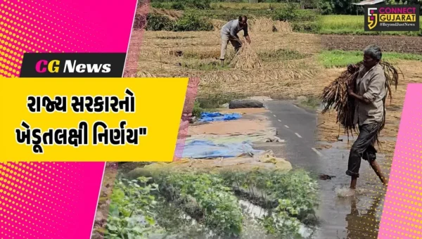 ગુજરાત: રાજ્ય સરકારનો ખેડૂતો માટે મહત્વપૂર્ણ નિર્ણય,ટેકાના ભાવે મગફળી સહિતના પાકો ખરીદવાની સરકારની જાહેરાત
