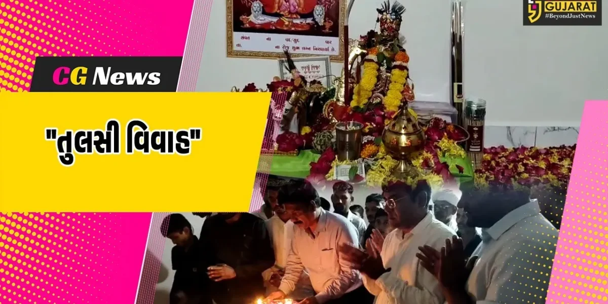 ભરૂચ : ચાવજ ગામે માલધારી સમાજ દ્વારા તુલસી વિવાહનું આયોજન, સમાજના લોકો પરંપરાગત પહેરવેશમાં જોડાશે
