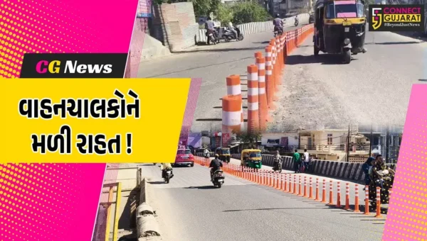 ભરૂચ: મહંમદપુરાથી ઢાલ સુધીના માર્ગ પર ટ્રાફિકજામની સમસ્યા હળવી બની, તંત્ર દ્વારા મુકાયા સ્પ્રિંગ પોસ્ટ