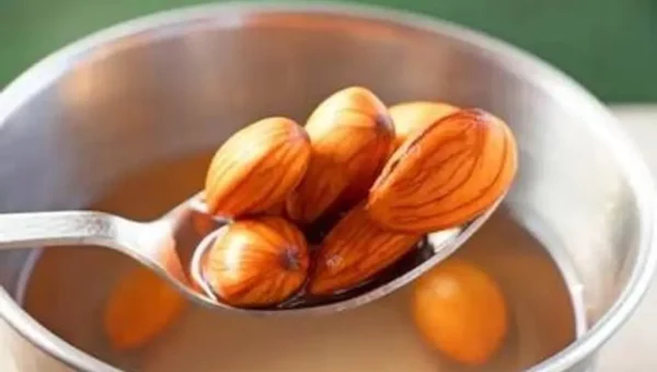પલાળેલી બદામ ખાવાથી શરીર અને મગજમાં થશે લાભદાયક ફેરફાર