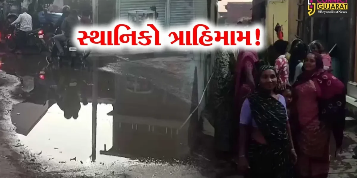ભરૂચ: આમોદ નગર સેવા સદનના પ્રમુખના વિસ્તારમાં ઉભરાતી ગટરની સમસ્યા, સ્થાનિકો ત્રાહિમામ