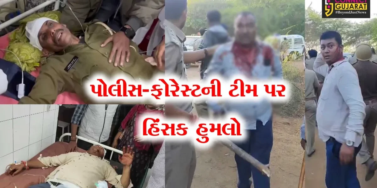 બનાસકાંઠા : દાંતામાં જમીન વિવાદમાં પોલીસ-ફોરેસ્ટની ટીમ પર પથ્થર અને તીર-કામઠાંથી હુમલો,45થી વધુ જવાન ઘાયલ