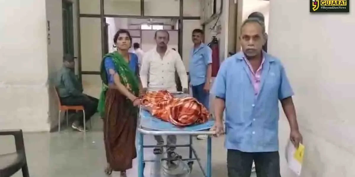 સુરત : 7 વર્ષીય બાળક પર શ્વાને હુમલો કરતા માથાના ભાગે પહોંચી ગંભીર ઇજા,ઈજાગ્રસ્ત બાળક સારવાર હેઠળ