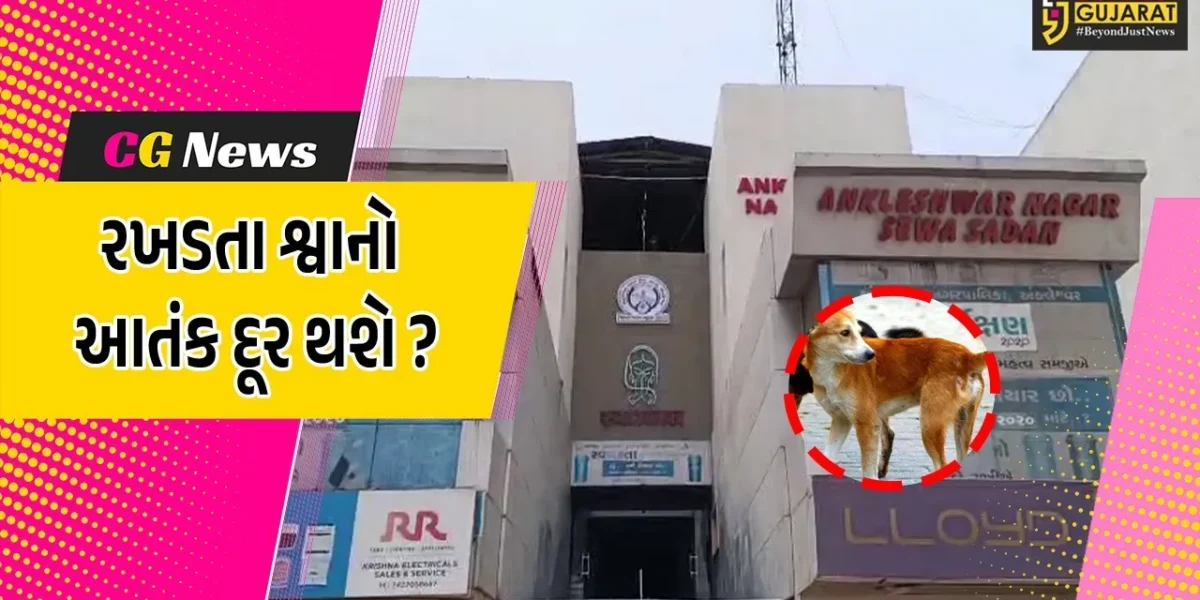 અંકલેશ્વર: રખડતા શ્વાનોનો આતંક ઓછો કરવા નગરપાલિકા હરકતમાં, 1લી જાન્યુ.થી ખસીકરણનો કરાશે પ્રારંભ