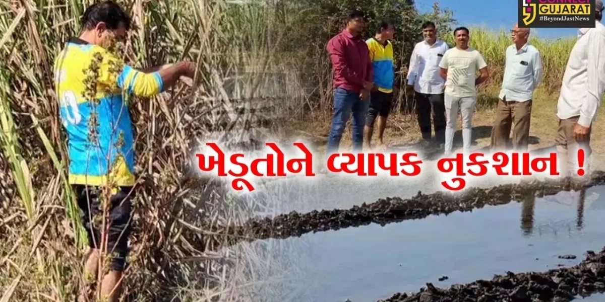 અંકલેશ્વર: સજોદ ગામની સીમમાં કેનાલ ઓવરફ્લો થતા ખેતીના ઉભા પાકને નુકશાન, સમસ્યાના નિરાકરણની ખેડૂતોની માંગ