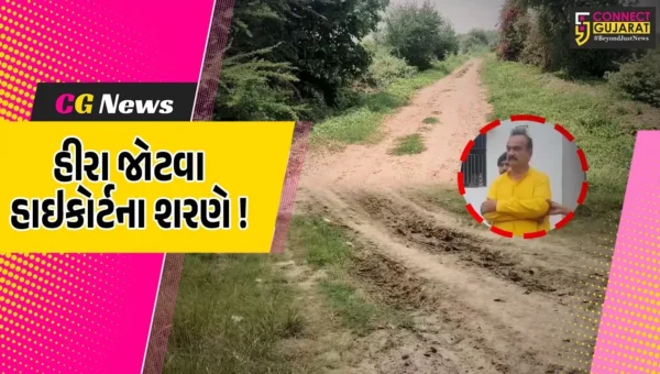 ભરૂચ: ચકચારી મનરેગા કૌભાંડમાં કોંગી નેતા હીરા જોટવા અને પુત્રના શરતી જામીન રદ થયા બાદ હાઇકોર્ટનો સ્ટે, 18 ડિસેમ્બરે સુનાવણી