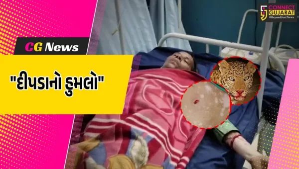 ગીર સોમનાથ : કોડીનારમાં 50 વર્ષીય મહિલા પર દીપડાનો હુમલો,યુવકે બચાવ્યો જીવ,ઈજાગ્રસ્ત મહિલા સારવાર હેઠળ