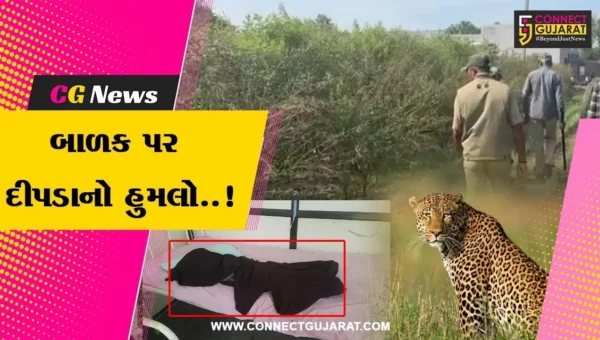 અમરેલી : ધારીના ગોપાલગ્રામમાં દીપડાના હુમલામાં બાળકનું મોત, દીપડાને પાંજરે પુરવા વન વિભાગની કવાયત…
