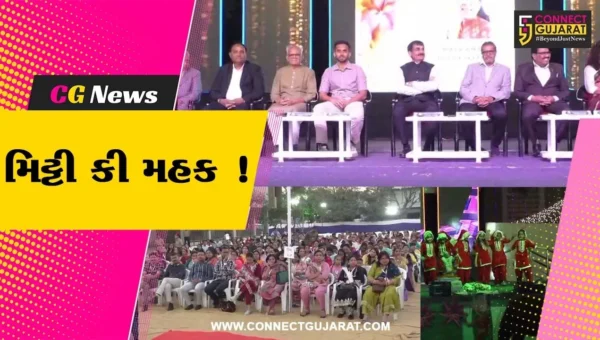 અંકલેશ્વર: GIDCમાં આવેલ લાયન્સ સ્કૂલનો વાર્ષિક સાંસ્કૃતિક કાર્યક્રમ યોજાયો