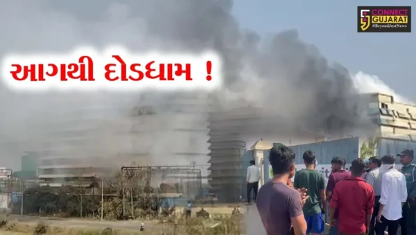 અંકલેશ્વર: પાનોલી GIDCની સલફર મીલ કંપનીમાં આગ, ફાયર વિભાગે આગ પર કાબુ મેળવ્યો