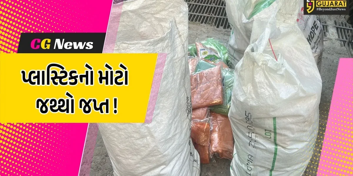 ભરૂચ: નગર સેવા સદન દ્વારા પ્રતિબંધિત પ્લાસ્ટિકનો 250 કીલો જથ્થો જપ્ત કરાયો, દુકાનદાર સામે કાર્યવાહી