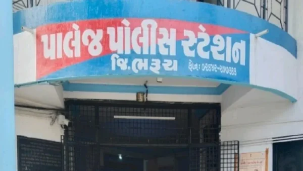 ભરૂચ: પાલેજ પોલીસે 4 મહિનાથી ગુમ માનસિક રીતે અસ્વસ્થ મહિલાનો પરિવારજનો સાથે કરાવ્યો ભેટો
