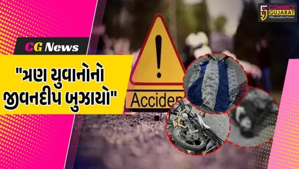 સુરેન્દ્રનગર: બાઇક સવાર બે સગાભાઈ સહિત ત્રણ યુવકોને ફંગોળીને અજાણ્યો વાહન ચાલક ફરાર, અકસ્માતમાં ત્રણેય યુવકનાં કરૂણ મોત