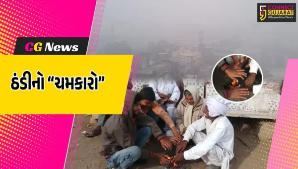 ઉત્તર-પૂર્વના પવન ફૂંકાતા ગુજરાત રાજ્યમાં ઠંડીનો ચમકારો યથાવત રહેશે : હવામાન વિભાગ