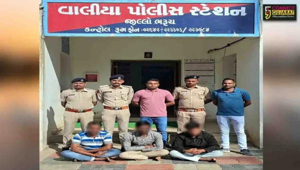 ભરૂચ: વાલિયા પોલીસે ઓપરેશન મ્યુલ હન્ટ હેઠળ સાયબર ફોડ આચરનાર ગેંગના 3 સાગરીતોની કરી ધરપકડ