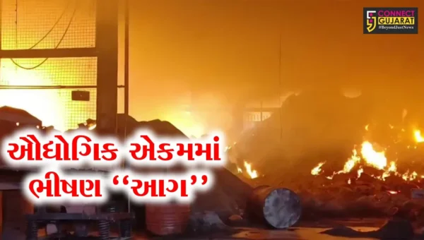 વલસાડ : પારડીની બી.એન. ઇન્ડસ્ટ્રીમાં ભીષણ આગ ફાટી નીકળતા ફાયર ફાઇટરો દોડ્યા, આગનું કારણ અકબંધ, કોઈ જાનહાનિ નહીં…