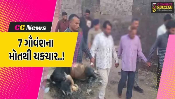 જુનાગઢ : ફાગળી ગામે 7 ગૌવંશના શંકાસ્પદ મોતનો મામલો, 2 આરોપીઓને સાથે રાખી પોલીસે કર્યું ઘટનાનું રી-કંટ્રકશન