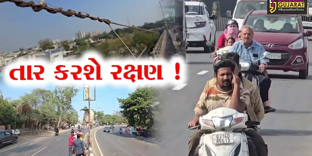 ભરૂચ: ન.પા.દ્વારા ઉત્તરાયણ પૂર્વે ભૃગુઋષિ બ્રિજ સહિત મુખ્ય માર્ગો પર તાર બાંધવાની પ્રક્રિયા હાથ ધરાય