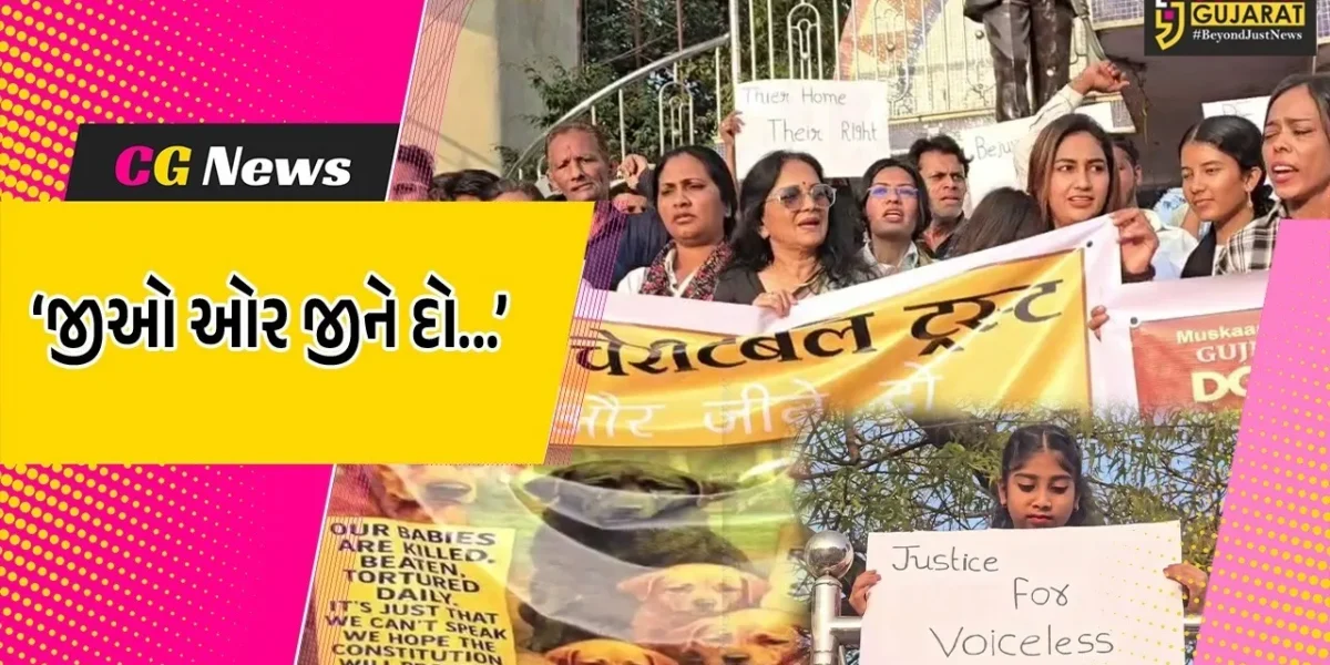 ભરૂચ : સામાજિક સંસ્થાઓ દ્વારા ‘શ્વાન બચાવો અભિયાન’નો પ્રારંભ, હેલ્પલાઇન નંબર જાહેર કરાયો…