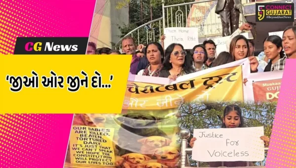 ભરૂચ : સામાજિક સંસ્થાઓ દ્વારા ‘શ્વાન બચાવો અભિયાન’નો પ્રારંભ, હેલ્પલાઇન નંબર જાહેર કરાયો…