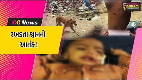 ભરૂચ : જંબુસરમાં રખડતા શ્વાનોનો આતંક, 12 બાળકો પર હુમલો કરતા સારવાર અર્થે ખસેડાયા