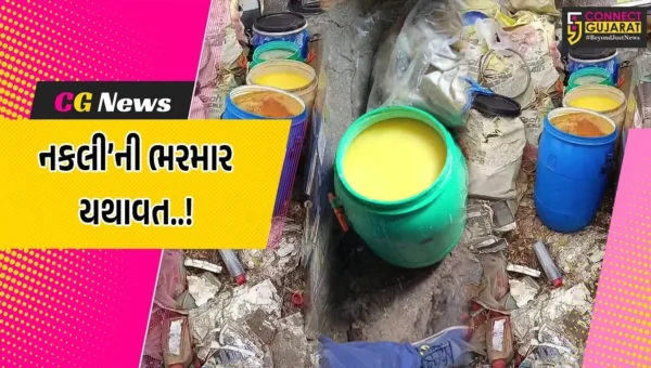 સુરત : તબેલાની આડમાં ધમધમતા નકલી ઘીના કારખાના પર પોલીસના દરોડા, રૂ. 2.11 લાખનો મુદ્દામાલ જપ્ત…
