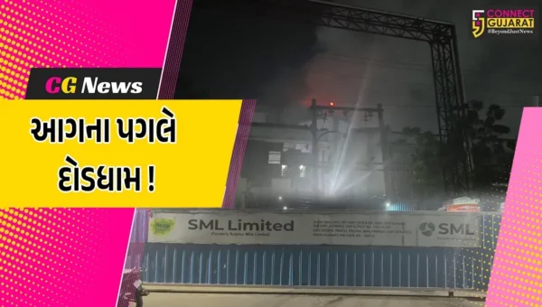 અંકલેશ્વર: પાનોલી GIDCની સલ્ફર મીલ કંપનીમાં આગ, ફાયર વિભાગે આગ પર મેળવ્યો કાબુ