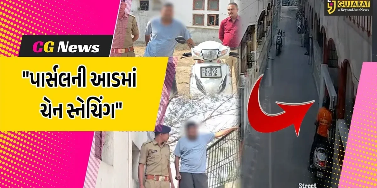 ભરૂચ : ગુજરાત રાજ્યભરમાં ચેન સ્નેચિંગને અંજામ આપનાર રીઢા અછોડા તોડની ધરપકડ કરતી પોલીસ