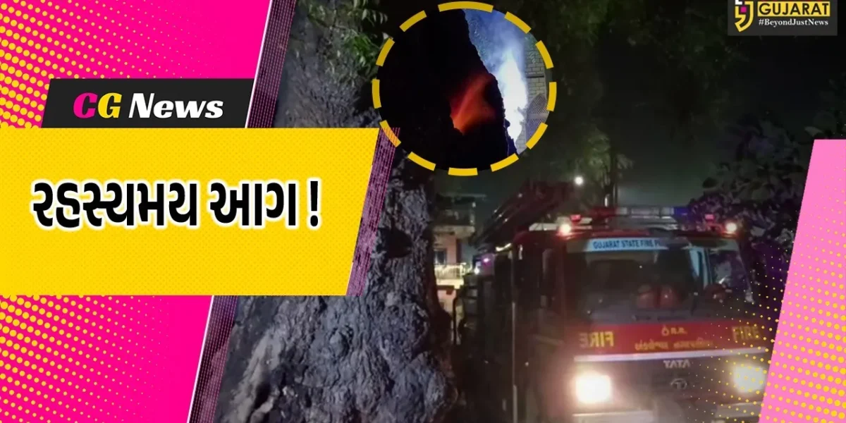 અંકલેશ્વર: સેલારવાડમાં લીમડાના વૃક્ષમાં 2 દિવસથી રહસ્યમય રીતે આગ, લોકોમાં કુતુહલ