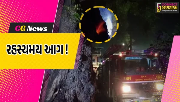 અંકલેશ્વર: સેલારવાડમાં લીમડાના વૃક્ષમાં 2 દિવસથી રહસ્યમય રીતે આગ, લોકોમાં કુતુહલ