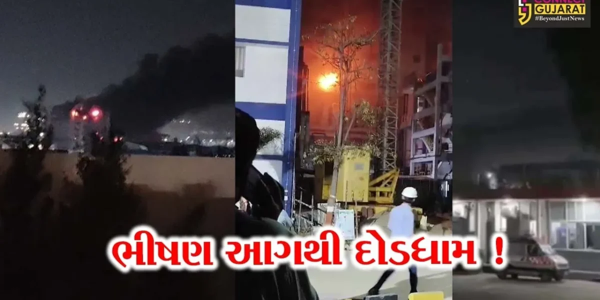 ભરૂચ: દહેજની એલિવસ લાઈફ સાયન્સ કંપનીમાં ભીષણ આગથી દોડધામ, 3 કામદારો દાઝ્યા