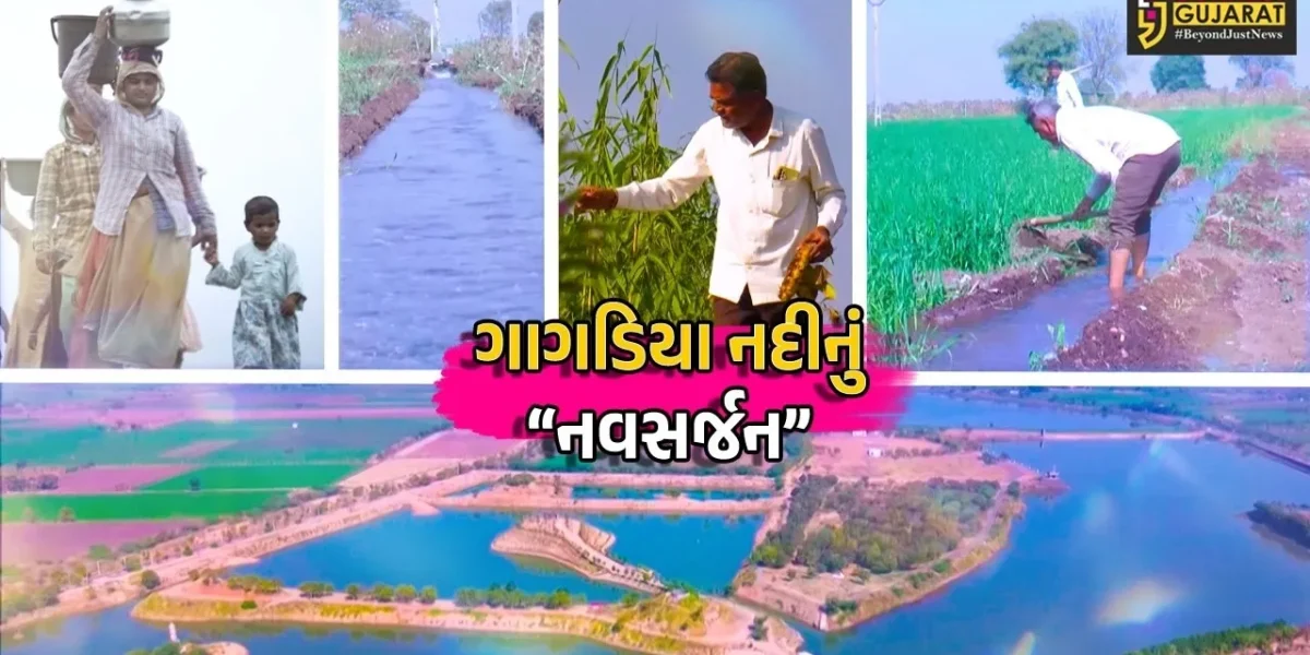 અમરેલી : ગાગડિયા નદીના નવસર્જને ગ્રામ્ય જીવનમાં નવી આશા જગાવી, સ્થાનિક યુવાનોએ સન્માનજનક રોજગારી મેળવી