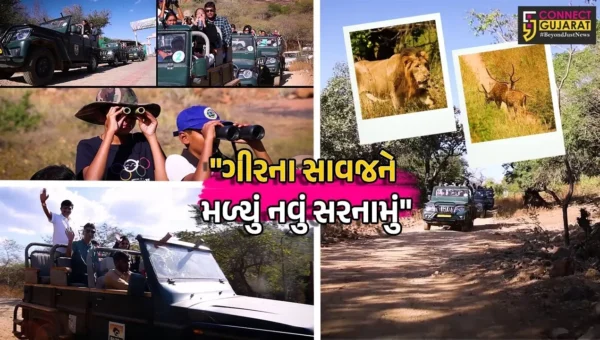 પોરબંદર : બરડા ડુંગર’ સાવજના સુરક્ષિત આશરા તરીકે સજ્જ, સિંહોના વસવાટનું વિસ્તરણ અને પર્યાવરણના જતન માટે લેવાયો ઐતિહાસિક નિર્ણય