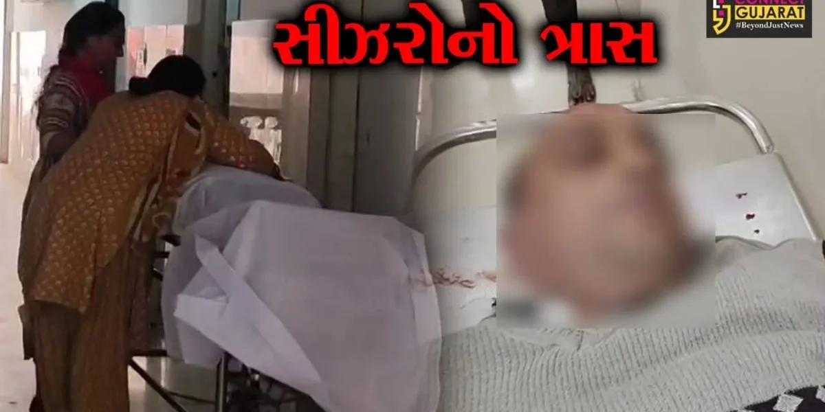 ભરૂચ : સીઝરોએ પોલીસની ઓળખ આપીને ધમકાવતા ભોલાવના 43 વર્ષીય ઉર્વીશ મોદીનું હાર્ટ એટેકથી મોત,પરિવારજનોએ કર્યા ગંભીર આક્ષેપ