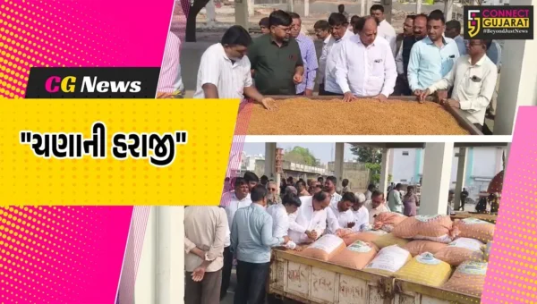 અમદાવાદ : ધંધુકા APMCમાં ચણાની હરાજીનો પ્રારંભ,210 ક્વિન્ટલ ચણાની આવક નોંધાઈ