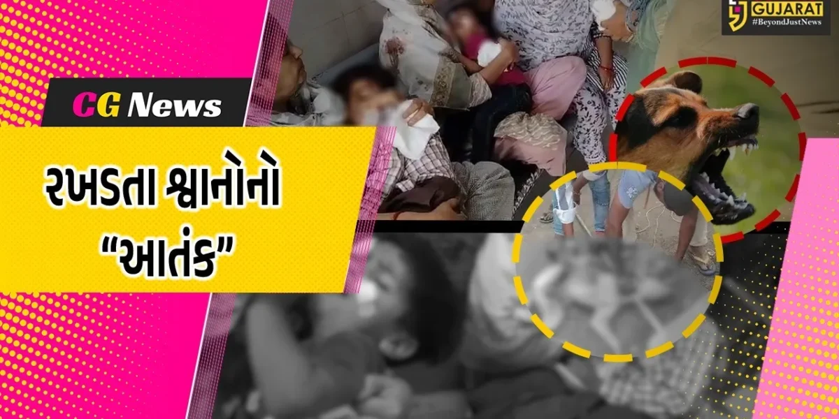 ભરૂચ : આમોદમાં જાહેરમાં શ્વાનોને ખોરાક ખવડાવવા પર પાલિકાએ પ્રતિબંધ ફરમાવ્યો, લોકોને બચકાં ભરનાર 11 શ્વાનોને પકડી લેવાયા…