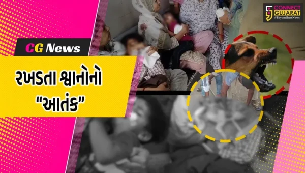ભરૂચ : આમોદમાં જાહેરમાં શ્વાનોને ખોરાક ખવડાવવા પર પાલિકાએ પ્રતિબંધ ફરમાવ્યો, લોકોને બચકાં ભરનાર 11 શ્વાનોને પકડી લેવાયા…