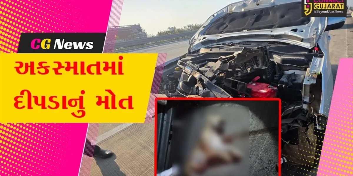 વડોદરા : દિલ્હી-મુંબઈ એક્સપ્રેસ હાઈવે પર કારની ટક્કરે દીપડાનું મોત, વન વિભાગે તપાસ શરૂ કરી