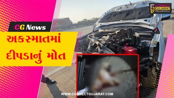 વડોદરા : દિલ્હી-મુંબઈ એક્સપ્રેસ હાઈવે પર કારની ટક્કરે દીપડાનું મોત, વન વિભાગે તપાસ શરૂ કરી