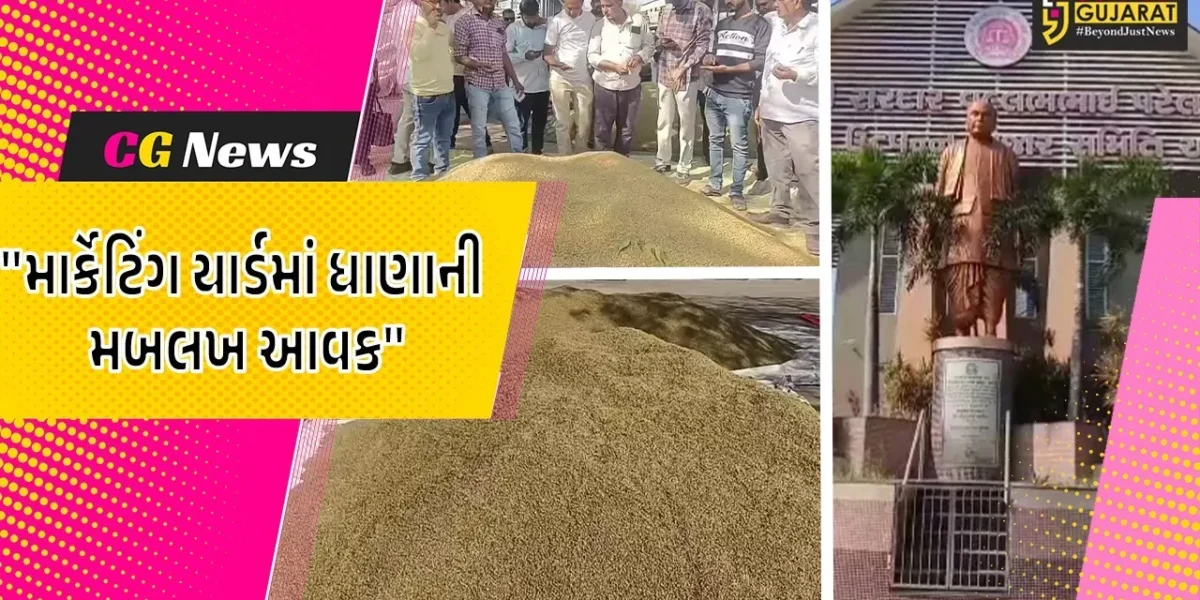 અમરેલી : માર્કેટિંગ યાર્ડમાં ધાણા અને ધાણીની મબલખ આવક, પોષણક્ષમ ભાવ મળતા ખેડૂતોમાં ખુશી