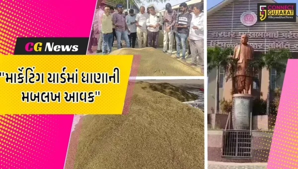 અમરેલી : માર્કેટિંગ યાર્ડમાં ધાણા અને ધાણીની મબલખ આવક, પોષણક્ષમ ભાવ મળતા ખેડૂતોમાં ખુશી